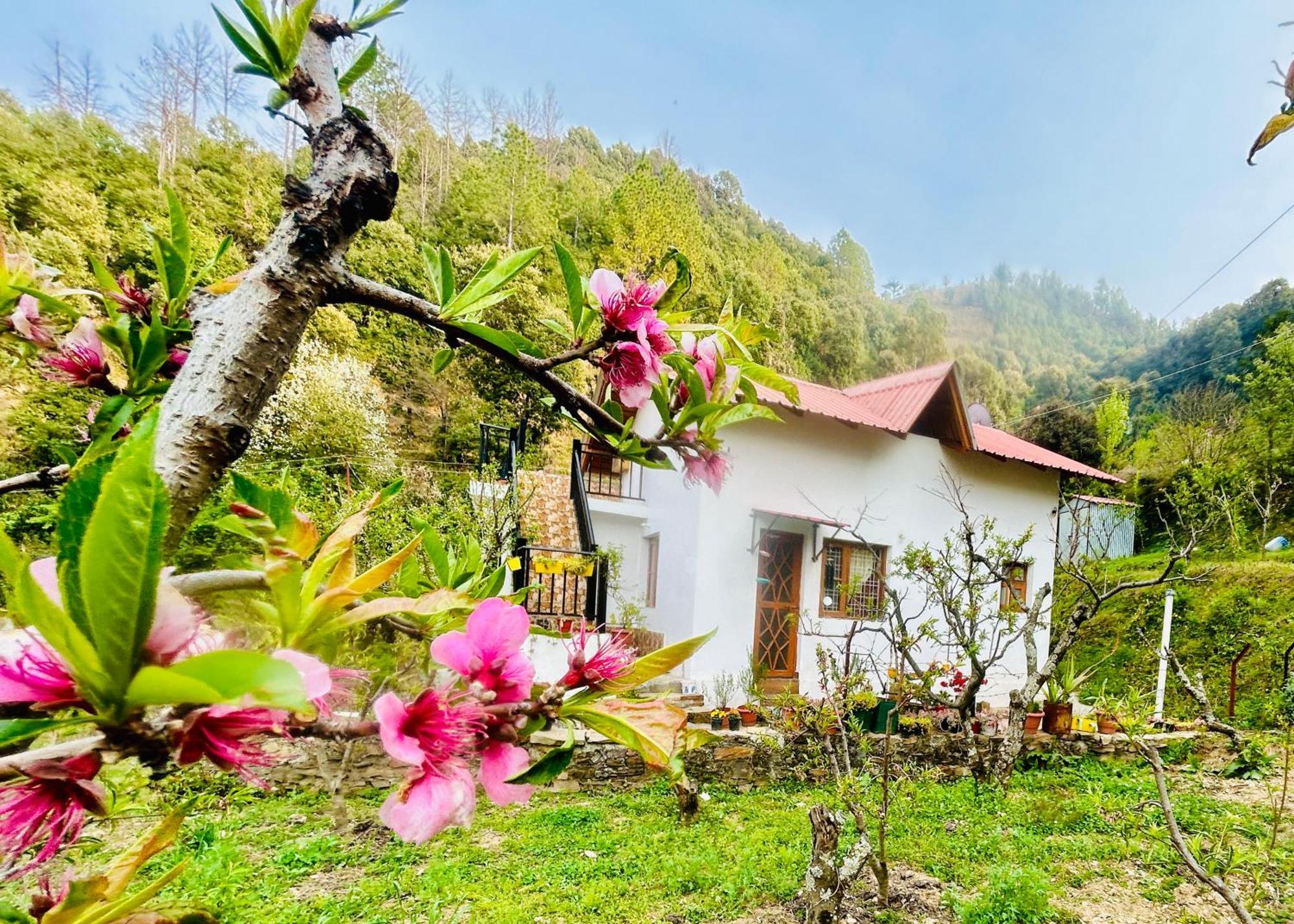 Love'S Farm, Cottage In Ramgarh エクステリア 写真